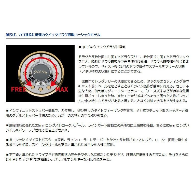 DAIWA（ダイワ） (数量限定)ダイワ 10クロスキャスト 5500 投げ用