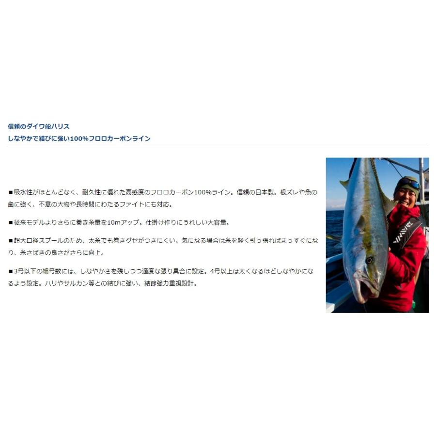 ダイワ Daiwa ディーフロン船ハリス 10号 1m D Fron フロロカーボンハリス リーダー 船ハリス 国産 日本製 メール便対応 アウトドア 釣り 旅行用品