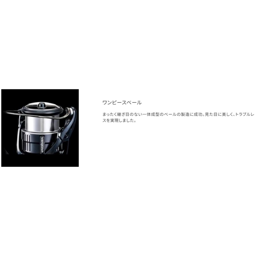 シマノ（SHIMANO） (送料無料)シマノ/SHIMANO 19ステラSW 8000HG 大型