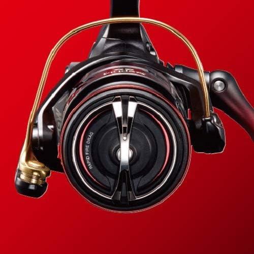 シマノ（SHIMANO） シマノ/SHIMANO 19 セフィアSS C3000SHG SEPHIA SS