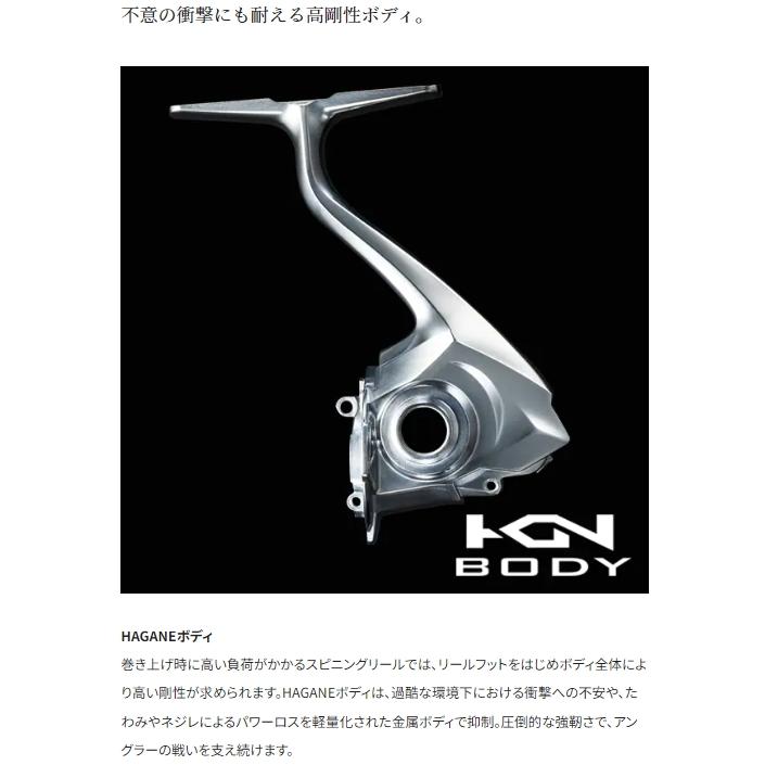 シマノ（SHIMANO） シマノ/SHIMANO 20 ツインパワー C3000MHG