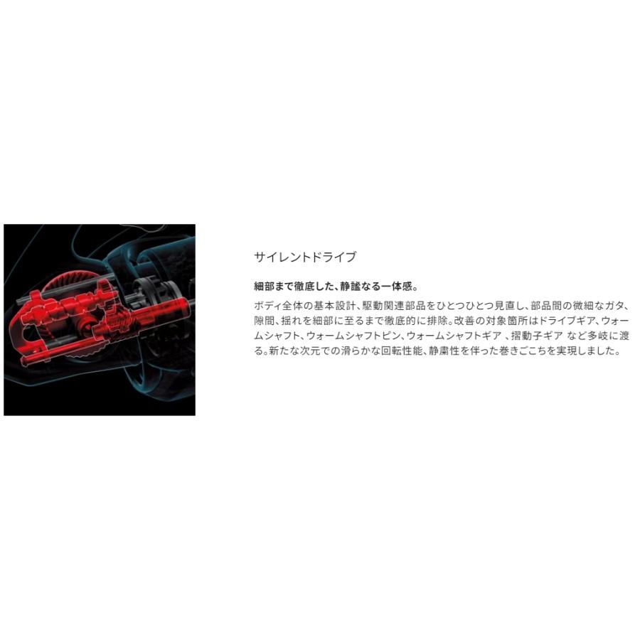 シマノ (送料無料)シマノ/SHIMANO 21ツインパワー SW10000PG シマノ (送料無料)シマノ/SHIMANO 21ツインパワー SW10000PG
