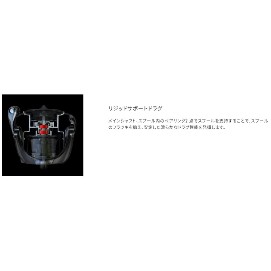 シマノ (送料無料)シマノ/SHIMANO 21ツインパワー SW10000PG シマノ (送料無料)シマノ/SHIMANO 21ツインパワー SW10000PG