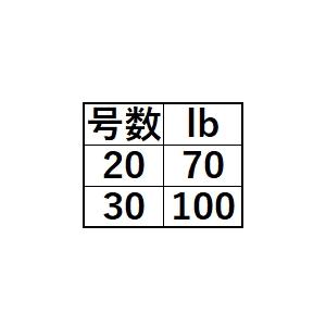 YGK (数量限定特価)よつあみ・YGK ガリス FCアブソーバー 20号 YGK (数量限定特価)よつあみ・YGK ガリス FCアブソーバー 20号