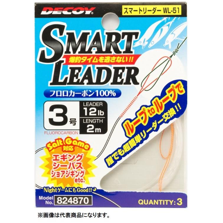 デコイ/DECOY スマートリーダー WL-51 エギング シーバス デコイ/DECOY スマートリーダー WL-51 エギング シーバス