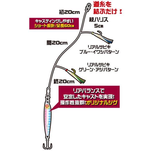 Hayabusa（ハヤブサ） 堤防ジギングサビキセット 30g 2本針 HA280