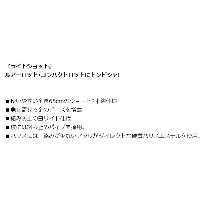 ハヤブサ/Hayabusa ライトショット かんたん投げ釣りセット 立つ天秤 2本鈎 HA310 5, 7号 ちょい投げ完成仕掛けセット(メール便対応) | Hayabusa | 04