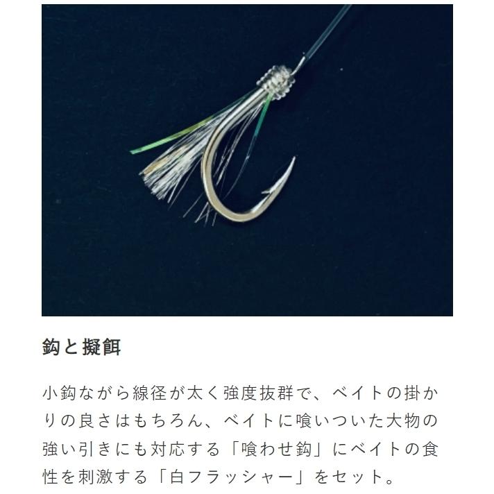 Hayabusa (10枚セット)ハヤブサ/Hayabusa ライトタックル落し