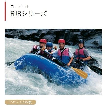 アップル工場長さん専用 HN-7834 エースニップル(ステンレスホースニップル) アソー 全長