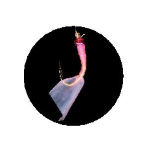 Hayabusa（ハヤブサ） (10枚セット)ハヤブサ/Hayabusa これ一番 ピンク