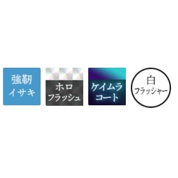 Hayabusa（ハヤブサ） (5枚セット)ハヤブサ/Hayabusa 落し込み