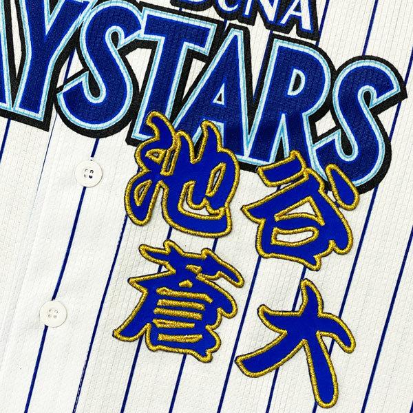 ☆送料無料☆横浜 DeNA ベイスターズ 池谷蒼大 勘亭流 名前 応援 刺繍 