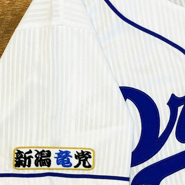 ☆送料無料☆中日 ドラゴンズ 新潟竜党 白布 応援 刺繍 ワッペン
