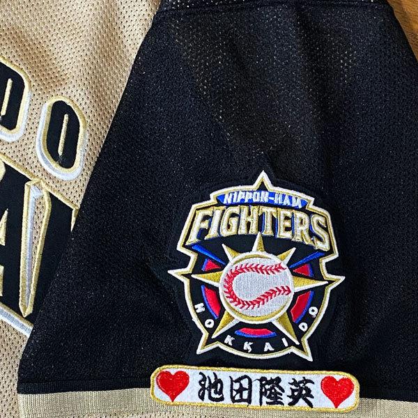 ☆送料無料☆北海道 日本ハム ファイターズ 日ハム 池田隆英 ネーム 袖