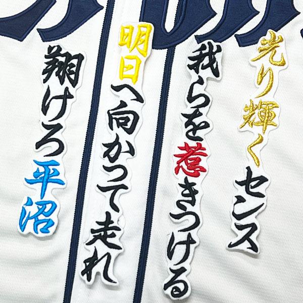 埼玉西武ライオンズ 平沼翔太 ユニフォーム ☆送料無料☆埼玉 西武 ライオンズ 平沼翔太 応援歌 白 応援 刺繍