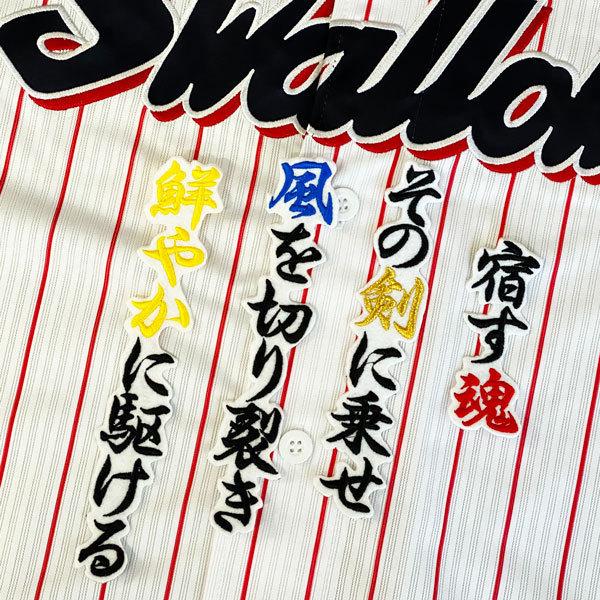 ☆送料無料☆東京 ヤクルト スワローズ 塩見泰隆 応援歌 白布 刺繍
