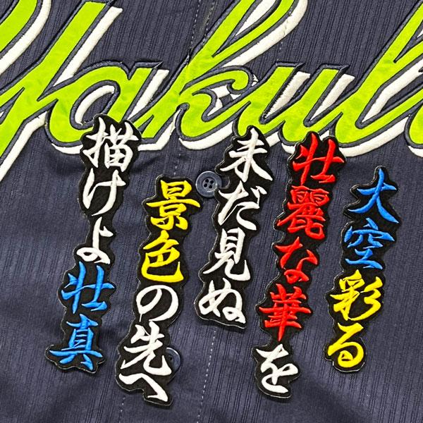 ☆送料無料☆東京 ヤクルト スワローズ 内山壮真 応援歌 黒 刺繍