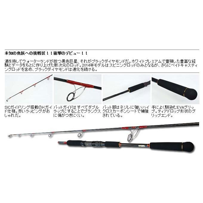WaterLand ウォーターランド ブラックダイヤモンド B604 (ベイト WaterLand ウォーターランド ブラックダイヤモンド B604 (ベイト