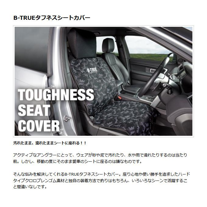 取り寄せ商品】 エバーグリーン B-TRUE タフネスシートカバー