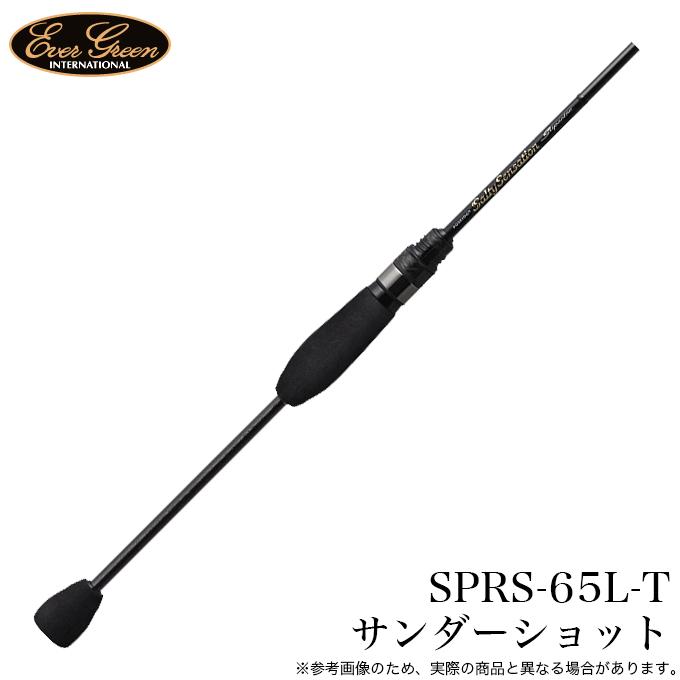 5)エバーグリーン ソルティーセンセーション スペリオル SPRS-65L-T