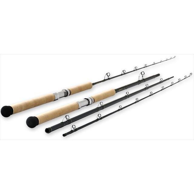 【取り寄せ商品】 天龍(TENRYU) ラグナ LN602M (釣竿・ロッド) (c)