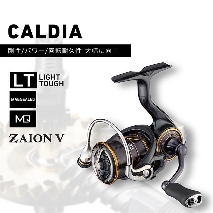 美品】ダイワ 21 カルディア LT 2500 startupafrica.org