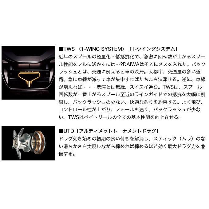 DAIWA（ダイワ） 21 アルファス SV TW 800H (右ハンドル / ギア比：7.1
