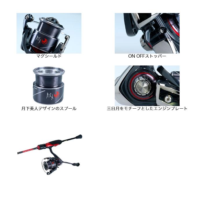 DAIWA（ダイワ） 【目玉商品】ダイワ 月下美人X LT 1000S-P (2020年