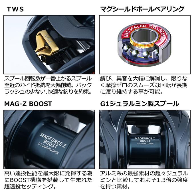 DAIWA（ダイワ） STEEZ (スティーズ) A TW HLC 8.1R (右ハンドル) 2021