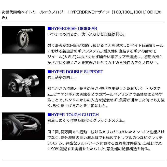 DAIWA(釣り) ダイワ 21 ティエラ IC 100L (左ハンドル) 2021年 DAIWA(釣り) ダイワ 21 ティエラ IC 100L (左ハンドル) 2021年