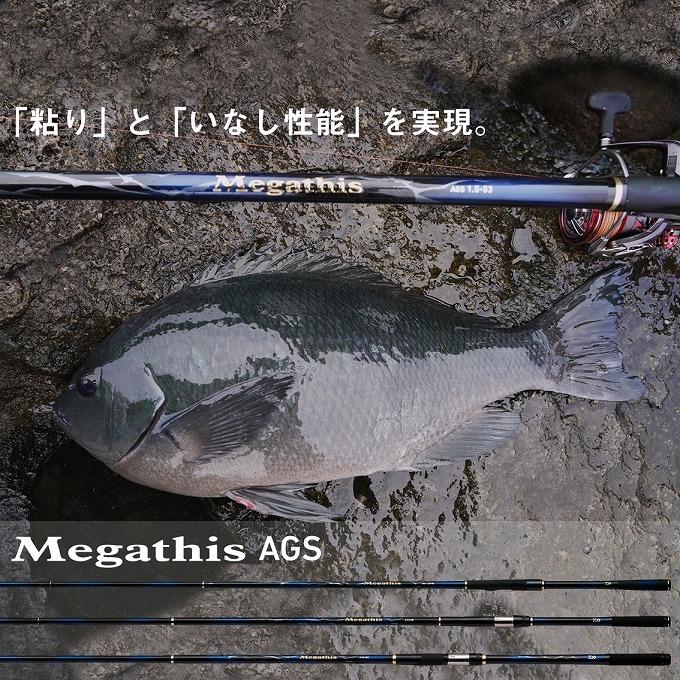 取り寄せ商品】 ダイワ 21 メガディス AGS (2-53・N) (磯竿・ロッド 