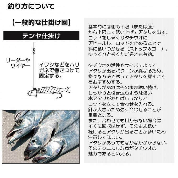 DAIWA（ダイワ） 【取り寄せ商品】 20 テンヤタチウオ X 73-180・R (船