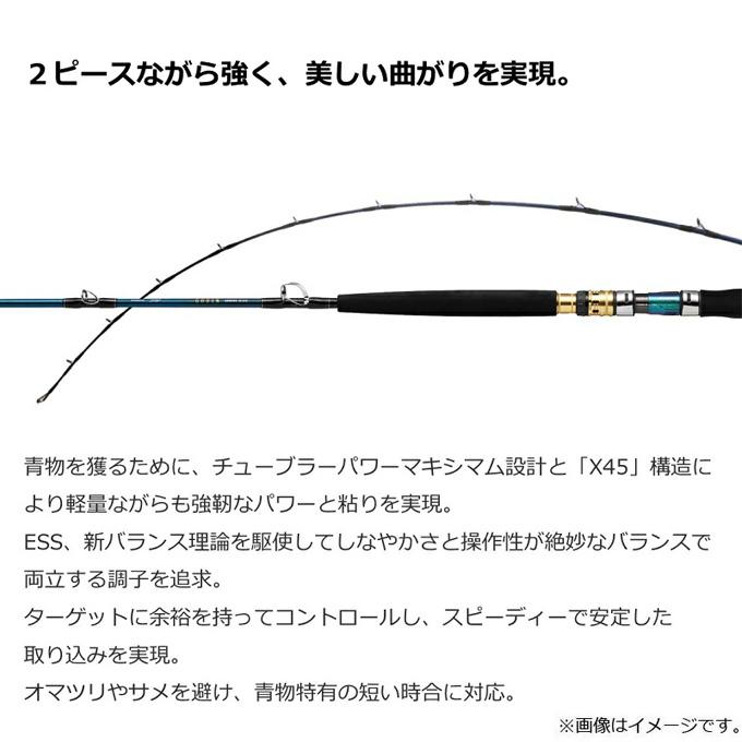 DAIWA（ダイワ） (7)【目玉商品】ダイワ 22 ゴウイン アオモノ M-235 