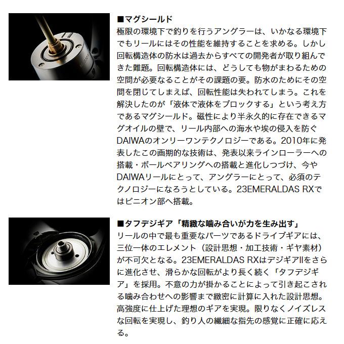 DAIWA（ダイワ） 【目玉商品】ダイワ 23 エメラルダス RX FC LT2500S