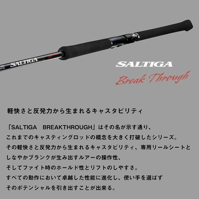 DAIWA(釣り) ダイワ 24 ソルティガ BT (ブレイクスルー) C83-6 DAIWA(釣り) ダイワ 24 ソルティガ BT (ブレイクスルー) C83-6
