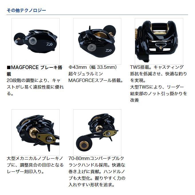 DAIWA(釣り) ダイワ 23 シーホーク TW 遠投 (2023年モデル) 両 DAIWA(釣り) ダイワ 23 シーホーク TW 遠投 (2023年モデル) 両