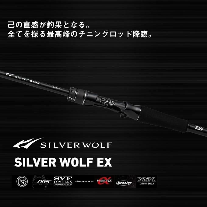 DAIWA（ダイワ） 25 シルバーウルフ EX 80MB-S (チニングロッド