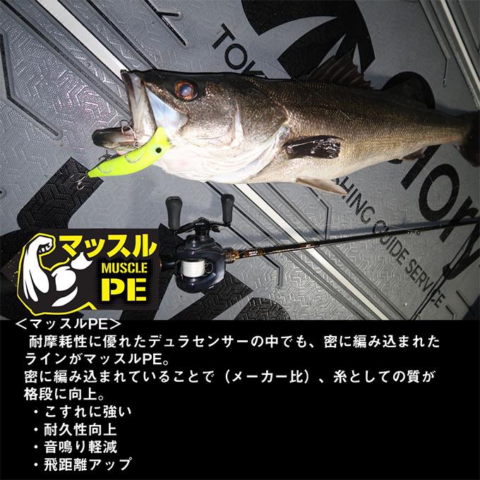 DAIWA（ダイワ） (2号 200m) ベイトキャスティングデュラセンサー×12EX