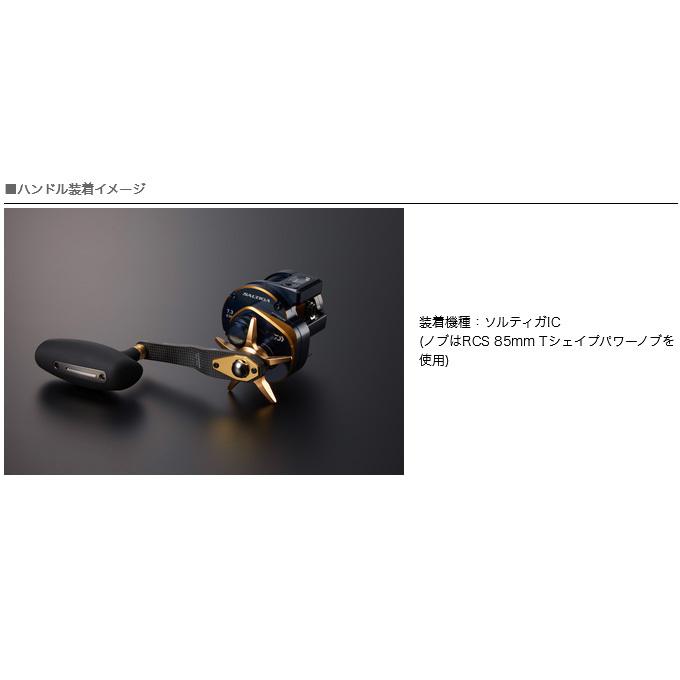 DAIWA（ダイワ） 【取り寄せ商品】 SLP WORKS SLPW 85-95mm カーボン