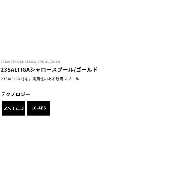 DAIWA（ダイワ） 【取り寄せ商品】 SLP WORKS 23 ソルティガ シャロー