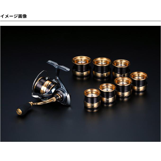 DAIWA（ダイワ） 【取り寄せ商品】 SLP WORKS SLPW LT TYPE-αスプール3