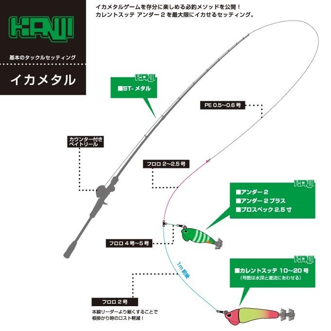 カンジインターナショナル 【取り寄せ商品】カンジインターナショナル
