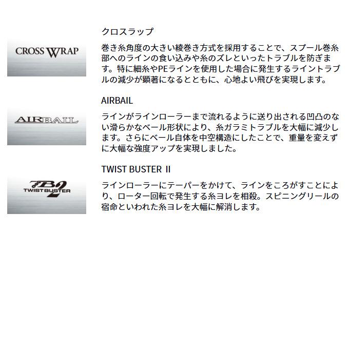 DAIWA（ダイワ） 【目玉商品】ダイワ 17 ウインドキャスト 6000
