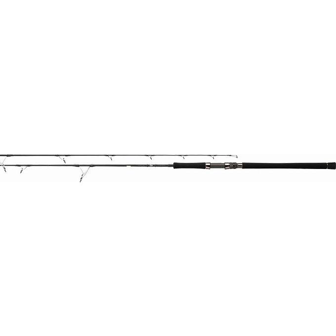 DAIWA（ダイワ） 【取り寄せ商品】ダイワ キャタリナ J60HS・E