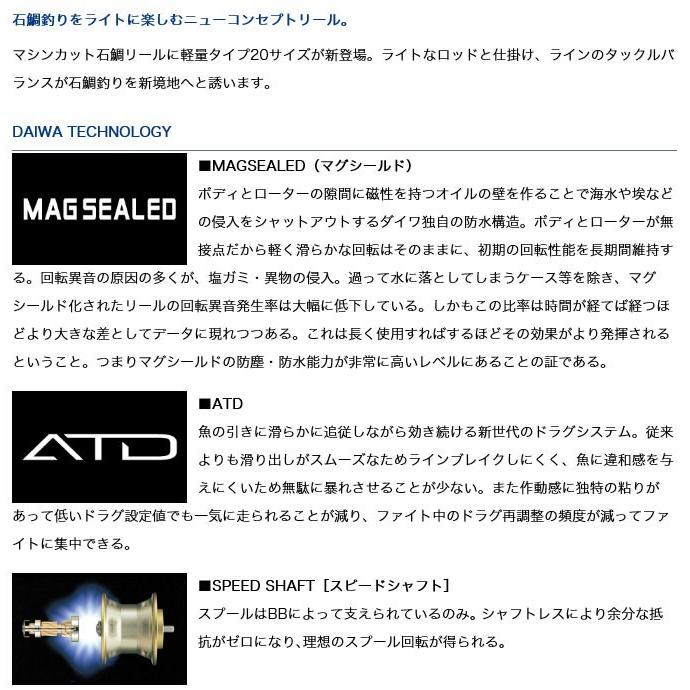 DAIWA（ダイワ） 幻覇王 (ゲンパオウ) 石鯛 LIGHT 20H (石鯛用リール