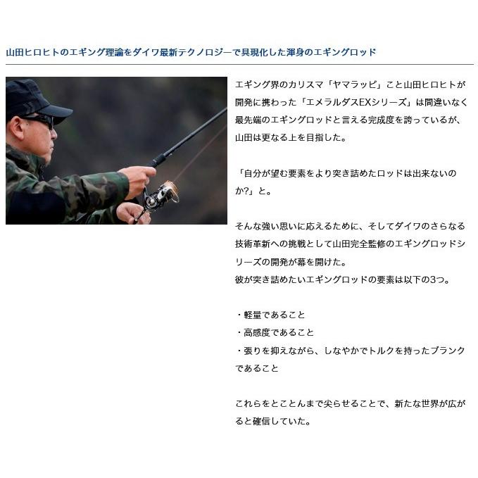 DAIWA（ダイワ） 【取り寄せ商品】 エメラルダス STOIST AGS IL 79MMH
