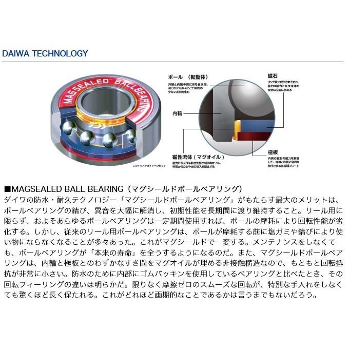 DAIWA（ダイワ） モアザン PE TW 1000XHL-TW 左ハンドル (ベイト