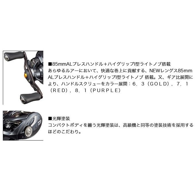 DAIWA（ダイワ） 【目玉商品】ダイワ 20 タトゥーラ SV TW 103HL (左