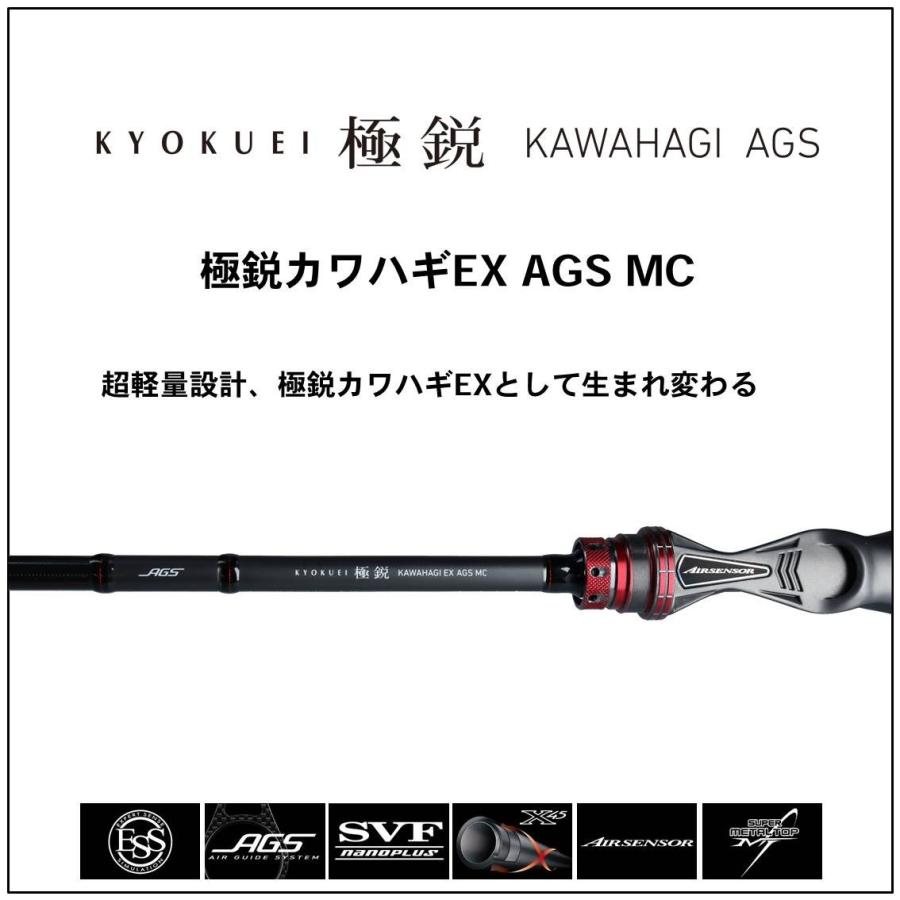 DAIWA（ダイワ） 【取り寄せ商品】ダイワ 極鋭カワハギEX AGS MC