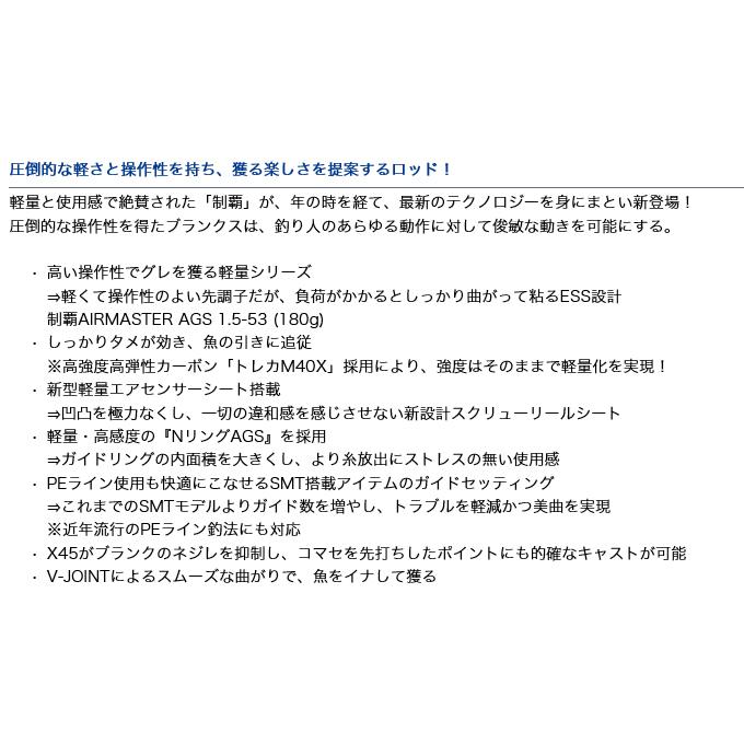 DAIWA（ダイワ） 【目玉商品】ダイワ 制覇エアマスターAGS 1.25-53 (磯